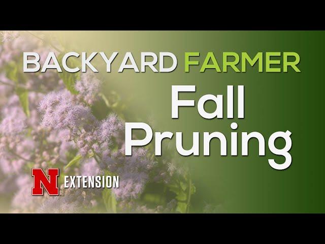 Fall Pruning