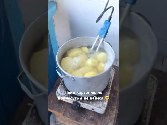 Поки картоплю не принесуть я не наїмся! #картопля #кухня #лайфхак #рецепт