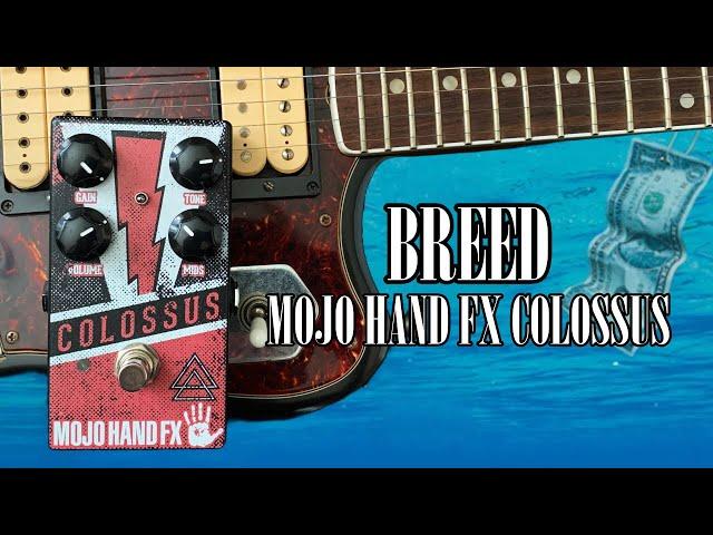 Nirvana Breed Guitar Tone & Cover | Nevermind Studio Tone Recreation with Mojo Hand FX Colosuss