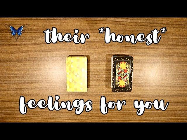 ️‍️‍🩹 *NC* THEIR *HONEST* FEELINGS ABOUT YOU RIGHT NOW  *pick a card* Timeless Tarot Reading 