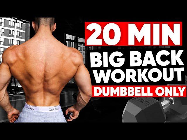 20 MIN BACK WORKOUT (DUMBBELLS ONLY)