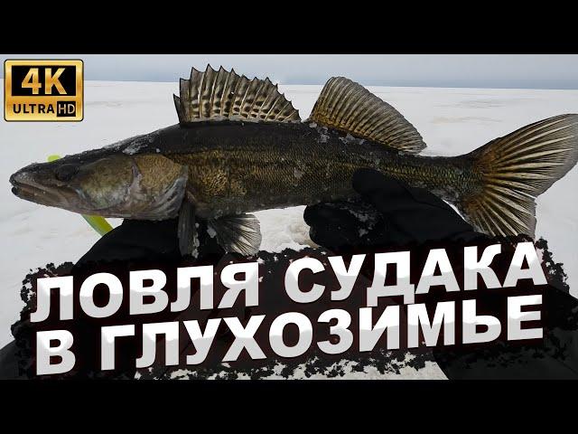 ЛОВЛЯ СУДАКА В ГЛУХОЗИМЬЕ. Рыбалка на Рыбинском водохранилище