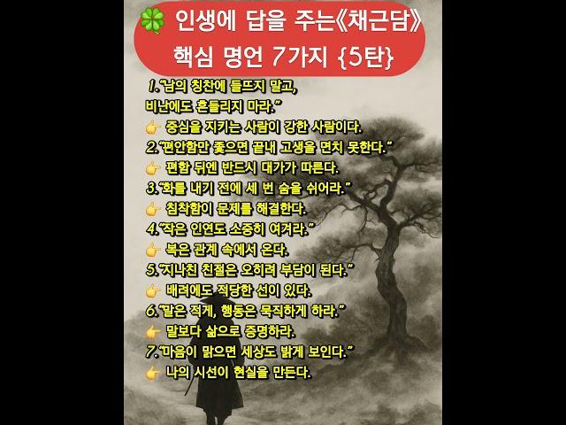 #채근담 #동양명언 #삶의지혜 #고전의힘 #인생명언 #평온한삶 #채근담명언 #고전공부