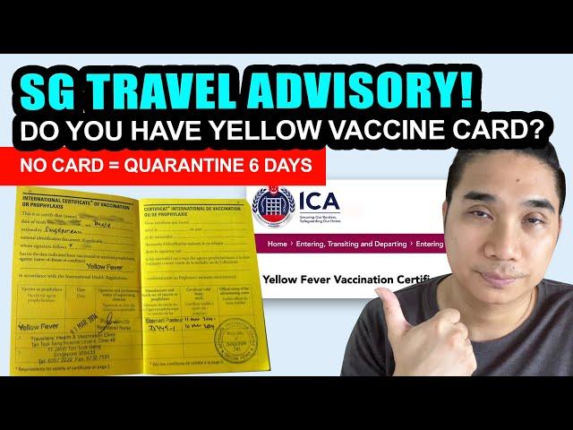 Yellow Fever Vaccination Certificate   Singapore | Do you need a Yellow Fever Jab?