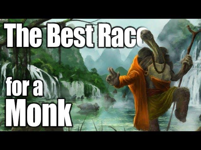 D&D Monk 5e- Best Race in 5th Edition Dungeons and Dragons