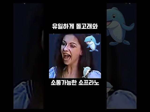 돌고래 사육사 소프라노 드세이 선생님 #클래식 #클래식궁금증 #music #오케스트라 #classicalmusic #classic #soprano