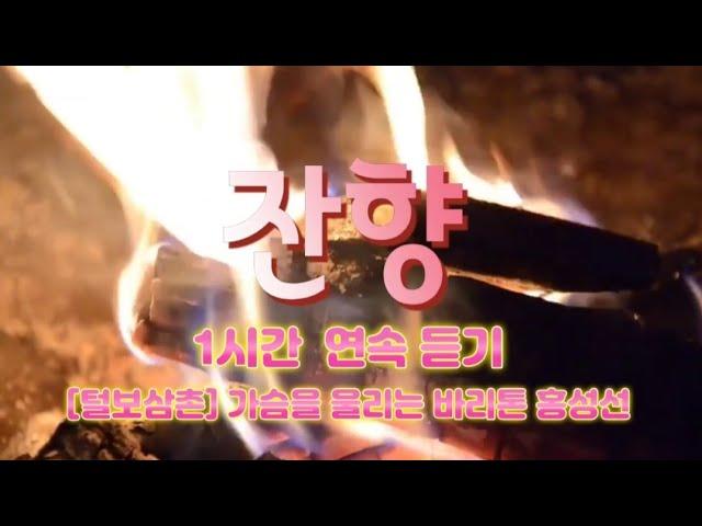 [털보삼촌] 불멍과 함께 한국가곡 잔향 1시간 연속 듣기 가슴을 울리는 바리톤 홍성선 