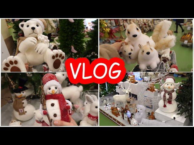 VLOG Новогодний шоппинг в Эпицентре