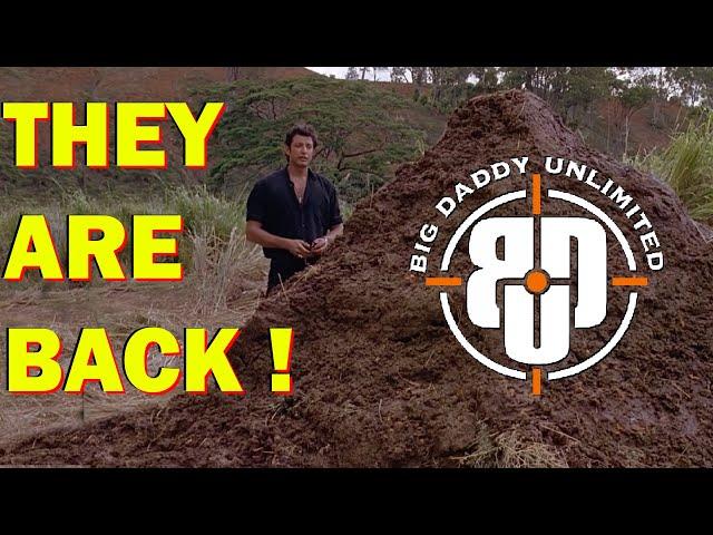 Big Daddy Unlimited Rebranded || Gun Industry Drama