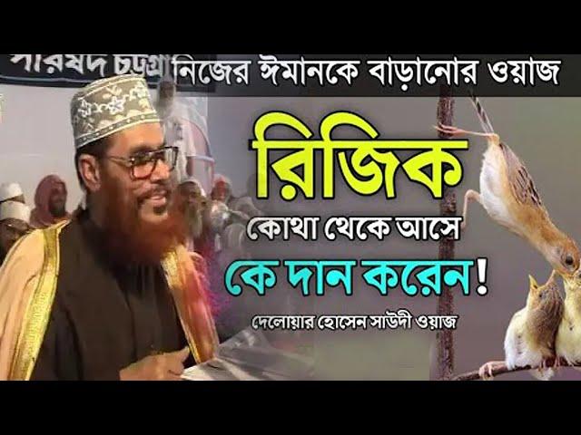 রিজিক কি দেলোয়ার হোসেন সাউদী, delwar hussain saidi trimcut5 #voiceofdin