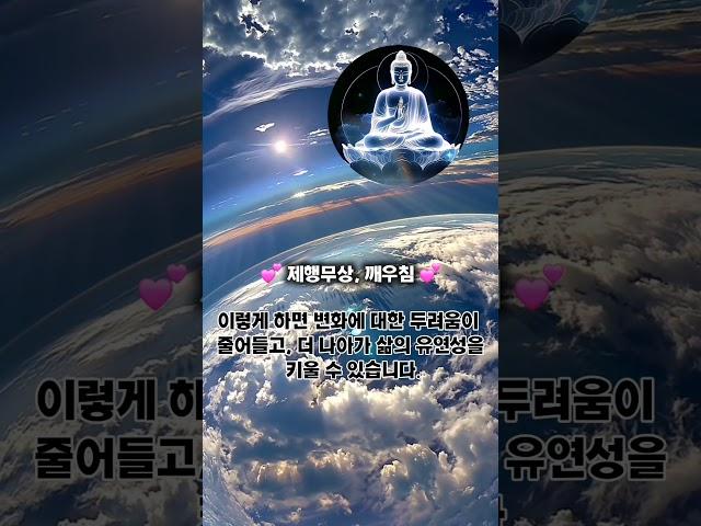 35 ] 삼법인 [ 제행무상,깨우침 ] 방법