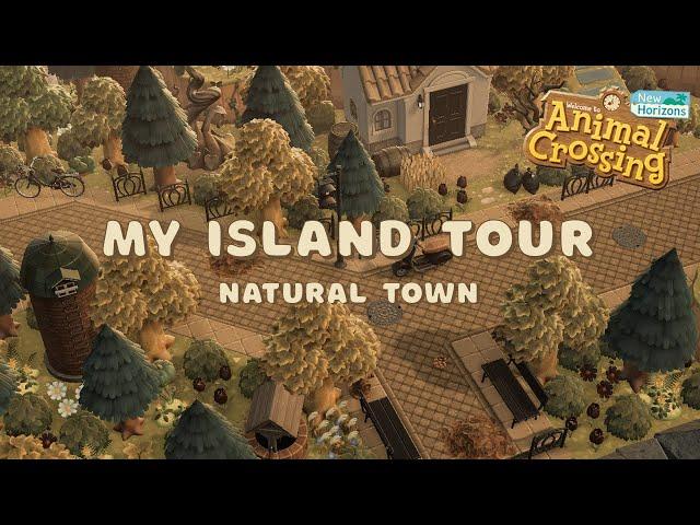 Touring My COMPLETED Natural Town Island & Dream Address!!!!! / Animal Crossing New Horizon