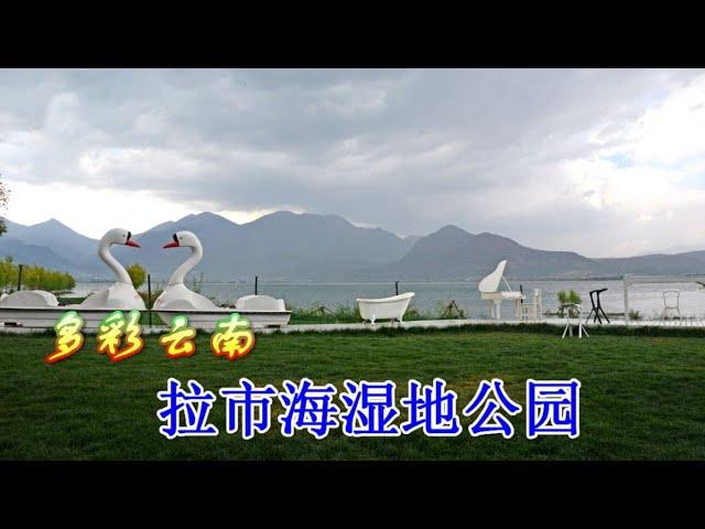 【云南】拉市海湿地公园，带你感受下那里的绿意风情......Wetland Park in Yunnan, China.雲南省の湿地公園.중국 윈난성 습지 공원.