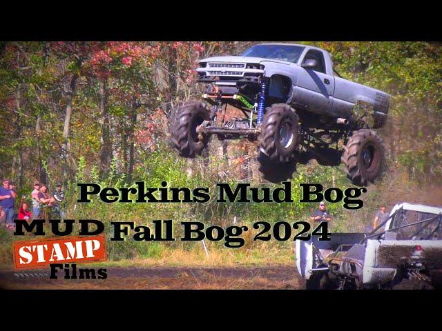 Perkins Fall Bog 2024