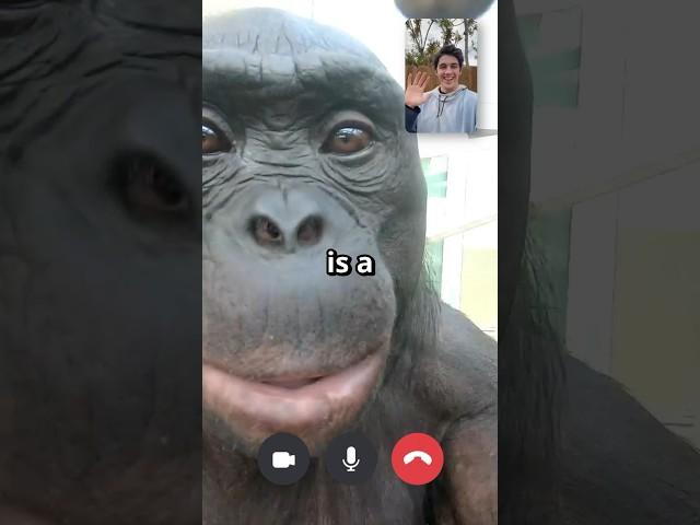 I Can’t believe he answered…