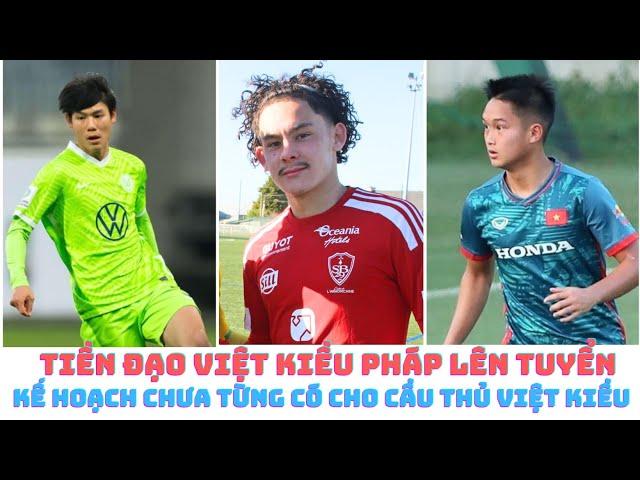 Tiền đạo Việt kiều Pháp có cơ hội lên đội tuyển Việt Nam - An Khánh & Gia Huy Phong