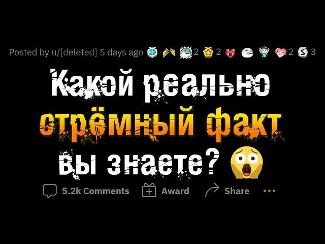 До безумия СТРАШНЫЕ ФАКТЫ