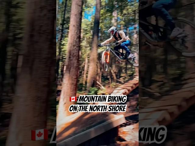  The North Shore rules. #mtb #freeridemtb #gopropov #mountainbiking