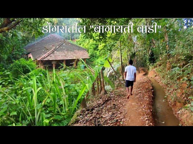 झऱ्याच्या पाण्यावर"सुपारी-मसाल्याची"200वर्ष जुनी बागायत|Ecological Farming in Konkan