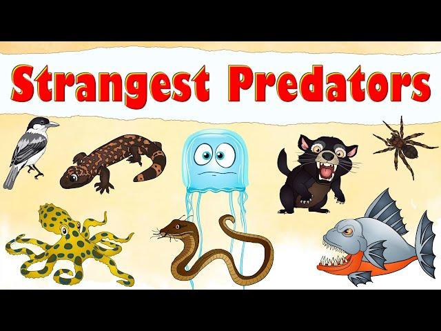 World’s Strangest Predators and Their Bizarre Hunting Techniques | Animal Facts