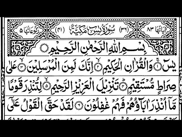 Surah Yasin | quran tilawat |Episode 885| Daily Quran Tilawat Surah Yaseen Surah Rahman Surah Waqiah