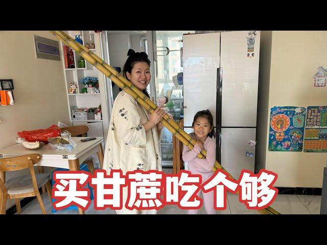 The second daughter-in-law likes to eat sugar cane  and her husband bought her three roots directly