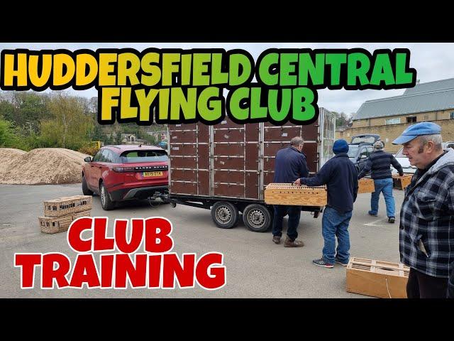 WE ARE SENDING OUR BIRDS ON THE CLUB TRAINING DAY|PIGEON RACING UK|YORKSHIRE PIGEON RACING