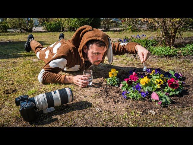 Macro TELEPHOTO Garden PHOTOGRAPHY