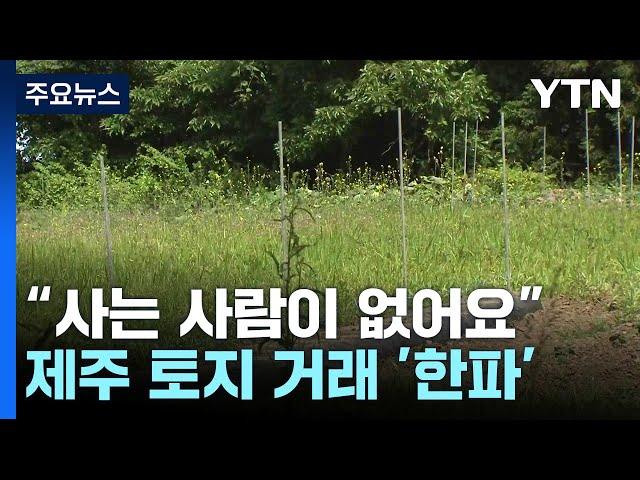 "내놔도 사는 사람이 없어요"...제주 토지 거래 '한파' / YTN