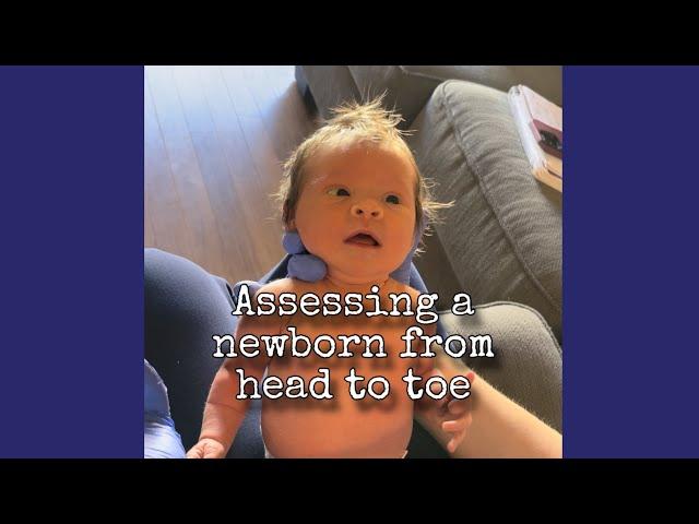 Assessing a baby from head to toe