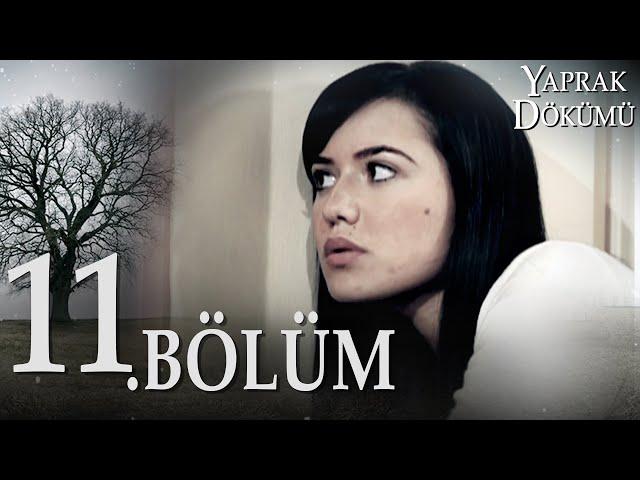 Yaprak Dökümü 11. Bölüm - Full Bölüm