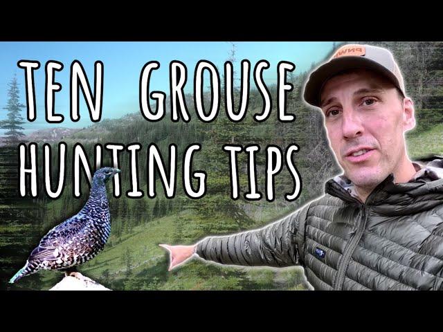 How to FIND GROUSE. Ten Grouse Hunting Tips!