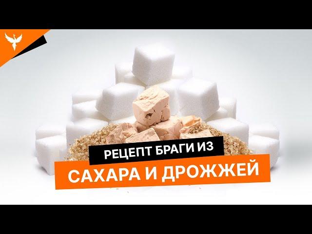 Брага из сахара и дрожжей/ Пропорции/ Рецепт/Рекомендации