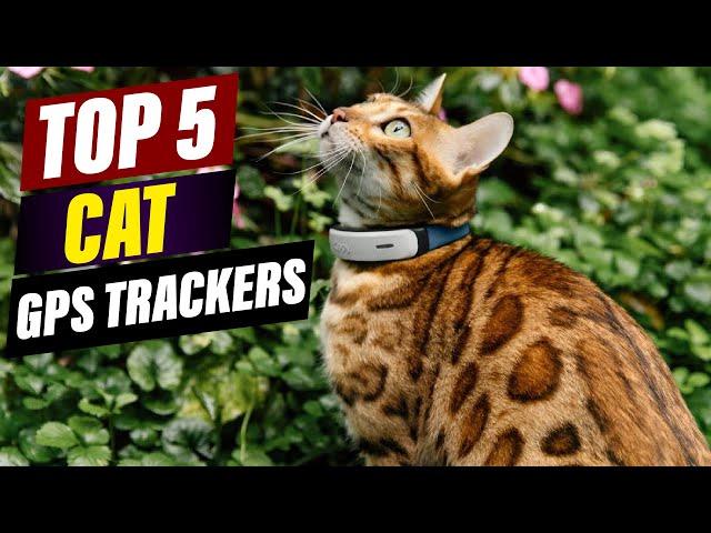 Top 5 Best Cat GPS Trackers for 2024: A Comprehensive Review