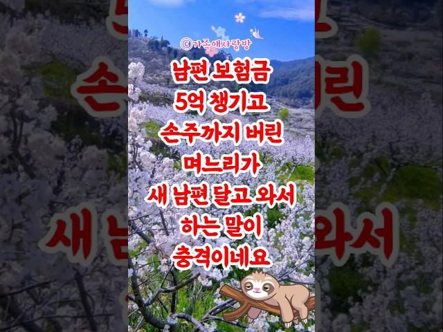 남편 보험금 5억 챙긴 며느리, 손주 버리고 새 남편과 돌아와 한 말  #충격실화