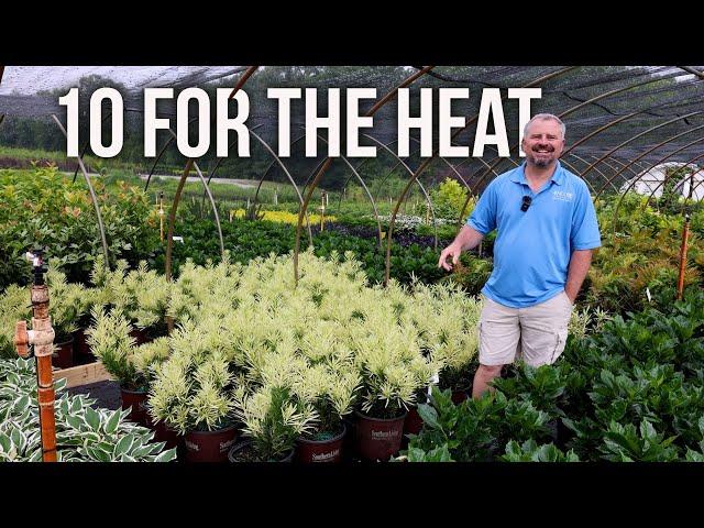 10 Evergreens That Can Take the Heat!!