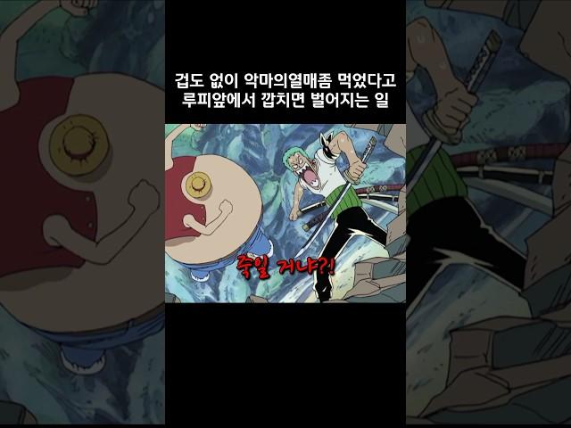 겁도없이 악마의열매 좀 먹었다고 루피에게 깝치면 벌어지는 일 #원피스