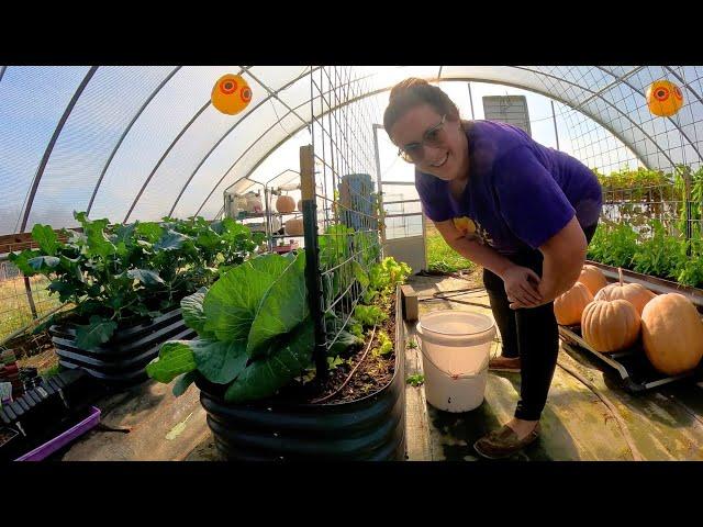 This Was WAY Overdue! Greenhouse Drip Irrigation (& Rabbit For Dinner) | Farm Life VLOG