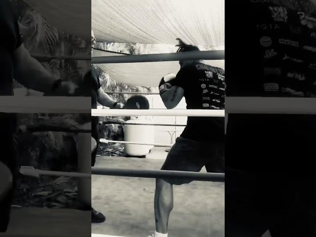 Trainer Orlando Cuellar at The JUNGLE GYM