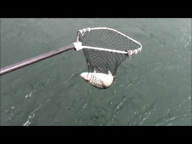 Vision Quest Lake Erie Fall Trout Fishing