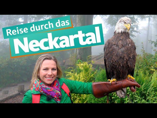 Neckar from Heilbronn to Heidelberg | WDR Reisen