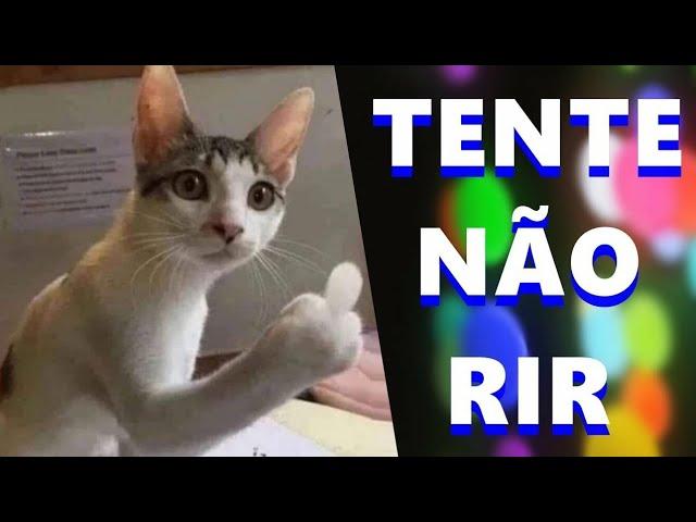 TENTE NÃO RIR / OS MELHORES MEMES - VIDEOS ENGRAÇADOS #72