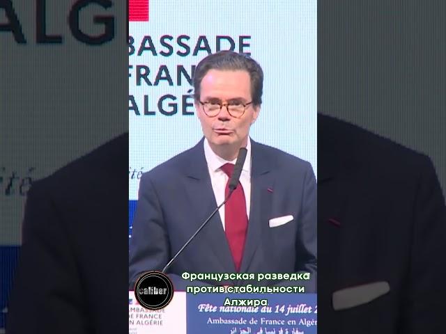 Французская разведка против стабильности Алжира