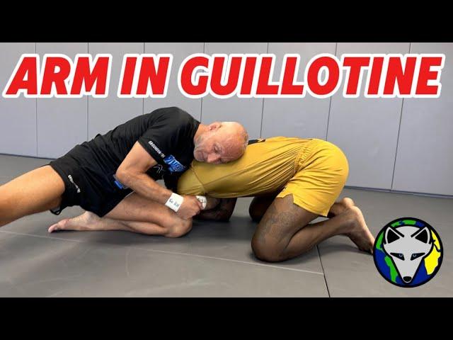 Arm In Guillotine & Guillotine Breakdown |#rollwiththefox S:6-Ep:34