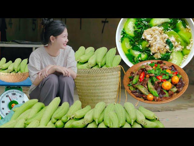 Harvest Luffa to Sell at The Market, Cook Crab Soup & Luffa with Chicken Hearts | Nguyễn Lâm Anh