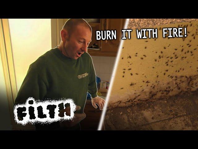 WORST Infestation In Pest Controller Pete's Career  | Grimefighters