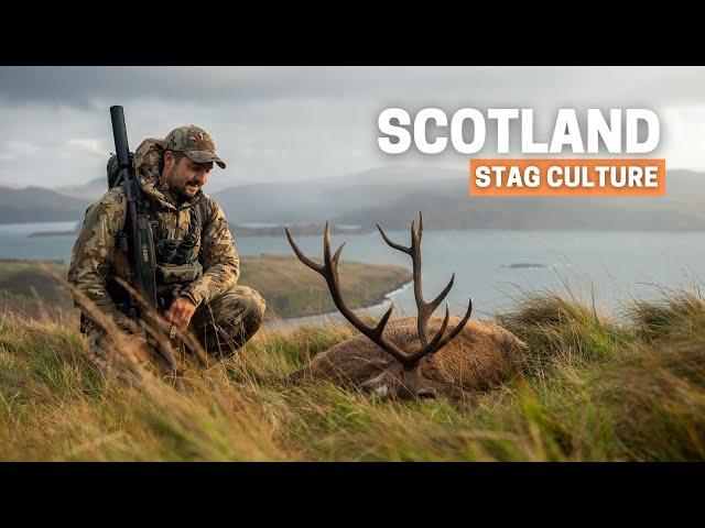 STALKING Red Deer in the HIGHLANDS  STAG Culture SCOTLAND