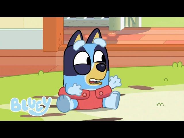 Carrera de bebés ️ | Episodio Completo  | Bluey - España Oficial