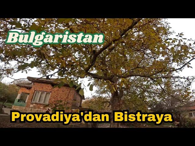 Bulgaristan Bistra Köyüme Gidiyorum