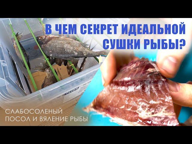 Сушка и посол рыбы / Есть ли идеальный рецепт изготовления сухой рыбы? / Лучший способ вяление рыбы